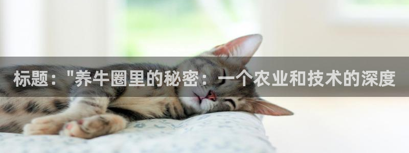 “黑料网app下载地址：标题：\